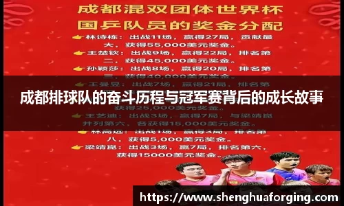 成都排球队的奋斗历程与冠军赛背后的成长故事